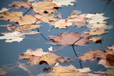 Similar image 21170967