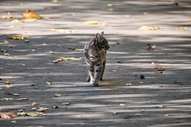 Similar image 21172780