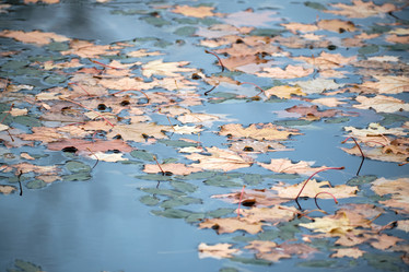 Similar image 21172781