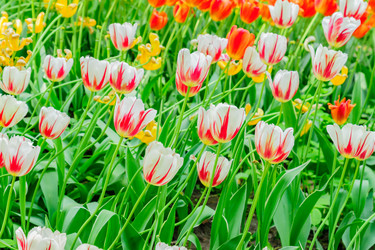 Similar image 21181647