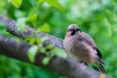 Similar image 21170730