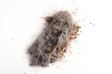 Similar image 21170935