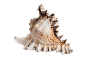 Similar image 21172810