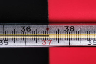 Similar image 21172814