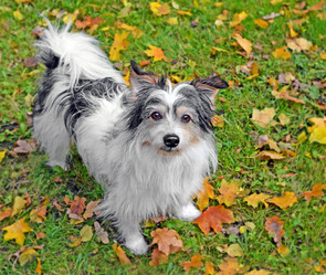 Similar image 21171972