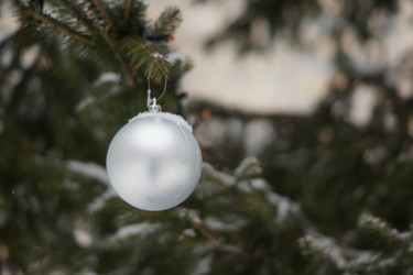 Similar image 21175433