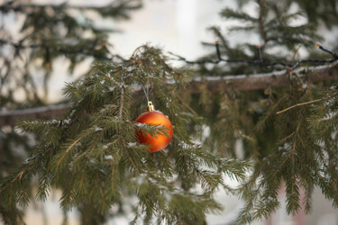 Similar image 21175435