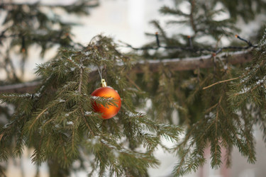 Similar image 21175436