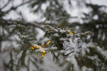 Similar image 21175437