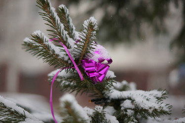 Similar image 21175438