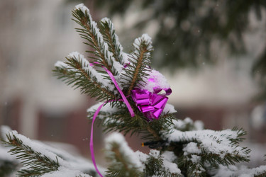 Similar image 21175439