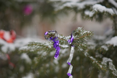 Similar image 21175482