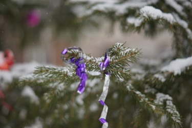 Similar image 21175483