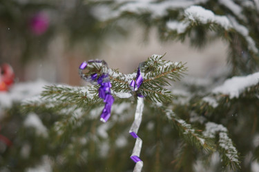 Similar image 21175484