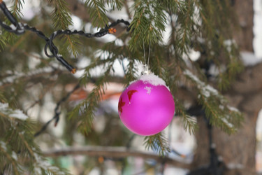 Similar image 21175485