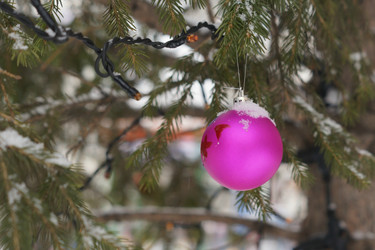 Similar image 21175486