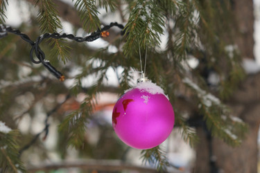 Similar image 21175487