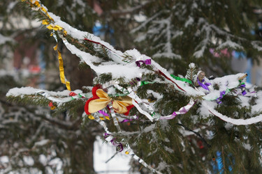 Similar image 21175488