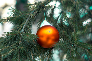 Similar image 21175491