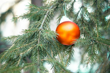 Similar image 21175492