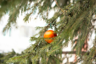 Similar image 21175532