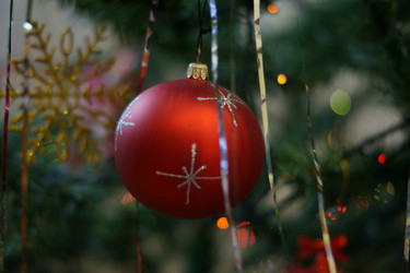 Similar image 21175539