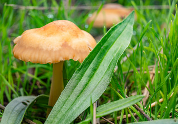 Similar image 21170201