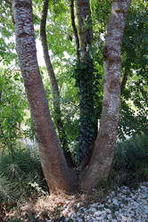 Similar image 21179775