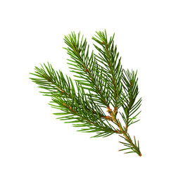 Similar image 21170206