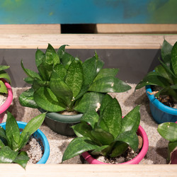 Similar image 21185045