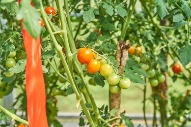 Similar image 21194453