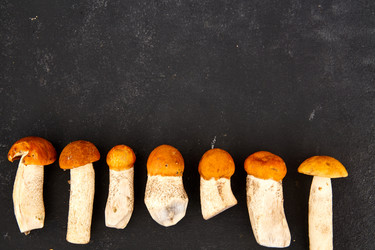 Similar image 21185053