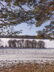 Similar image 21171686