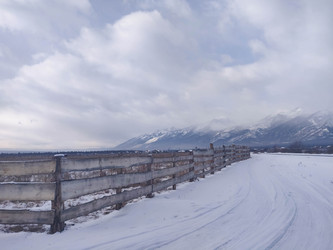 Similar image 21171695