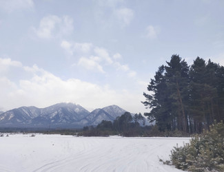 Similar image 21171699