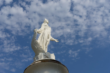 Similar image 21177726