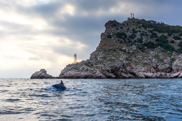 Similar image 21174057