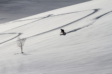 Similar image 21176597