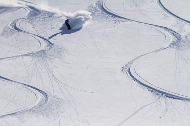 Similar image 21176606