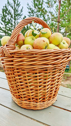 Similar image 21171976