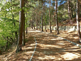 Similar image 21171273