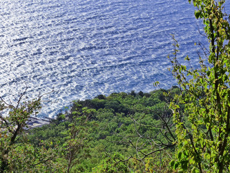 Similar image 21174384