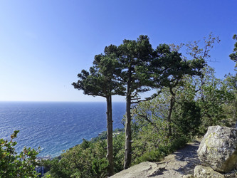 Similar image 21171274