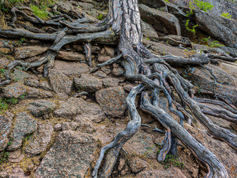 Similar image 21179778