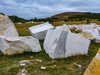 Similar image 21179779