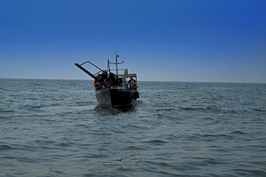 Similar image 21171310