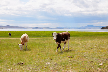 Similar image 21171723