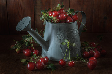 Similar image 21175213