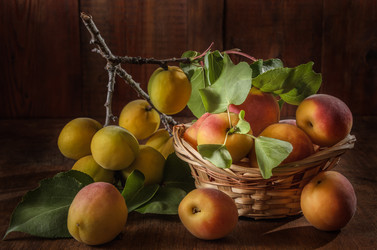 Similar image 21175217