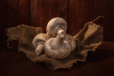 Similar image 21175223